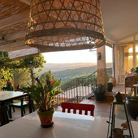 알카우씬 El Nispero Dulce B&B 외부 사진